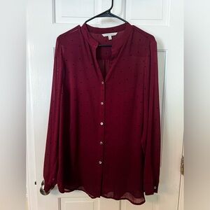 41 Hawthorn Burgundy Polka Dot Button-Down Blouse - Size 2X